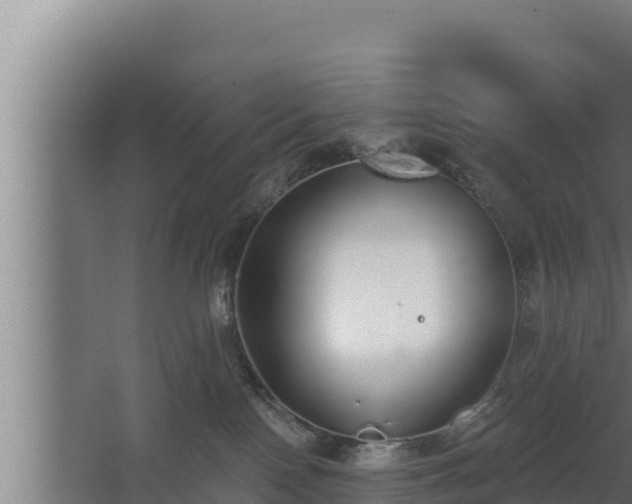 X0000064050090200602031634