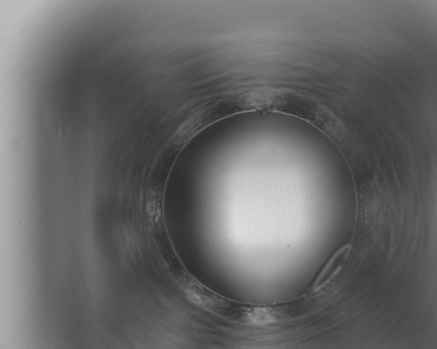 X0000064050091200602031634