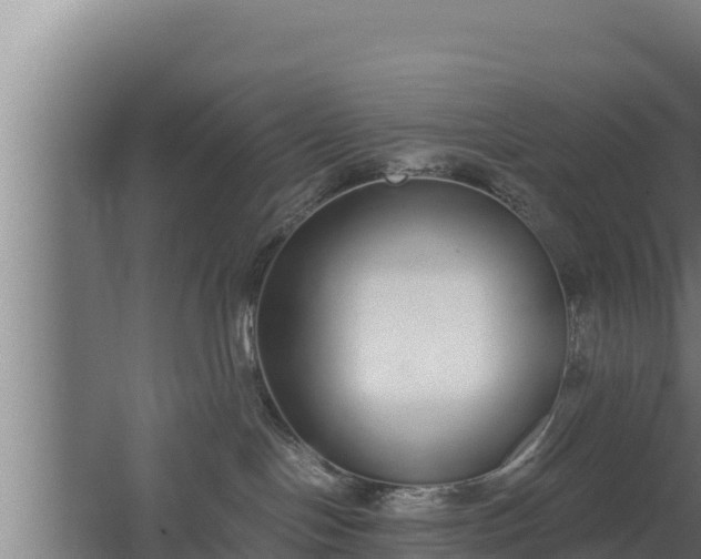 X0000064050094200602031635