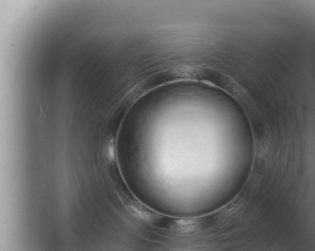 X0000064050095200602031635