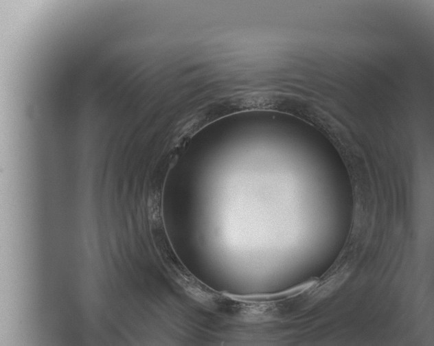 X0000064050096200602031635