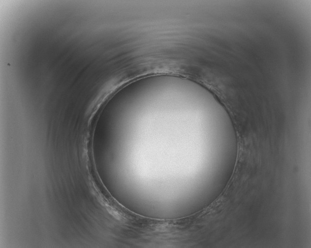 X0000064050098200602031634