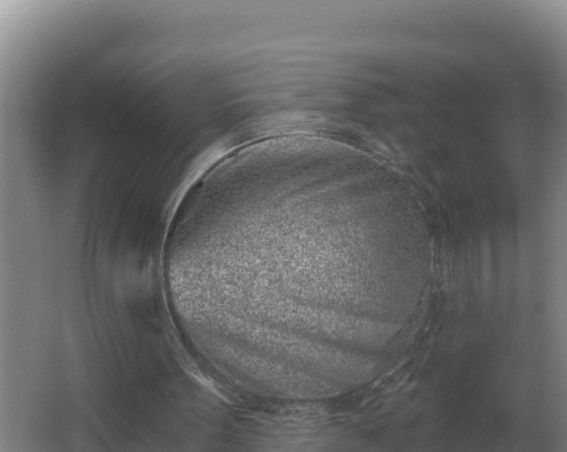 X0000064050099200602031634