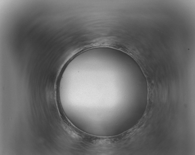 X0000064050100200602031634