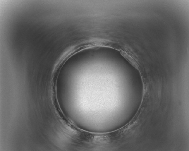 X0000064050101200602031634