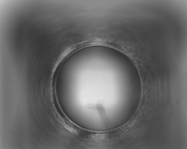 X0000064050102200602031634