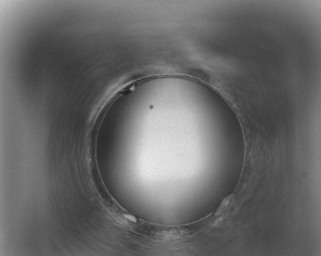 X0000064050103200602031634