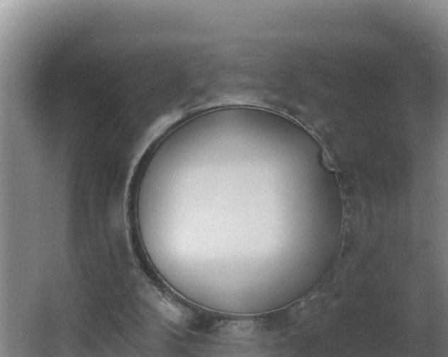 X0000064050104200602031634