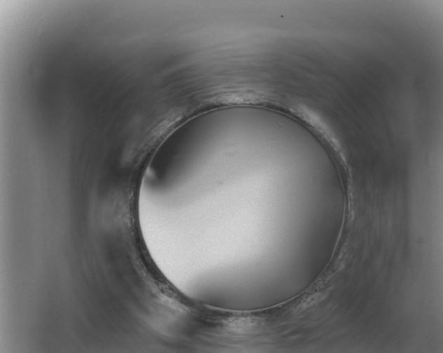 X0000064050105200602031634