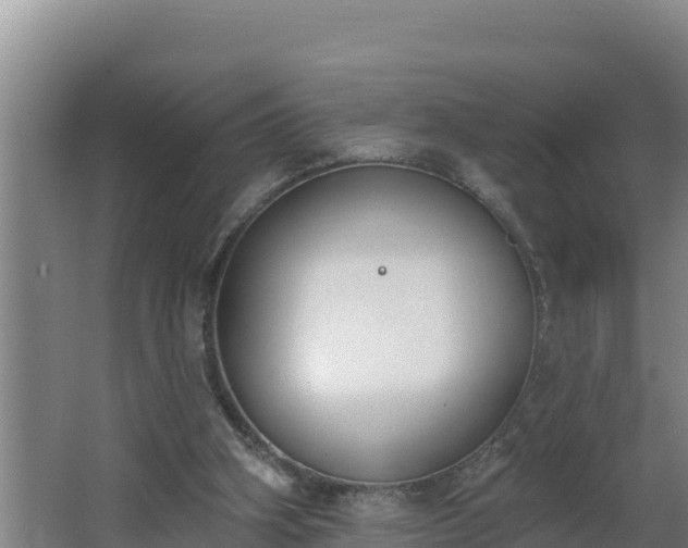 X0000064050106200602031634