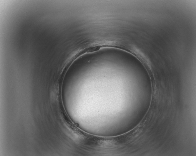 X0000064050107200602031634