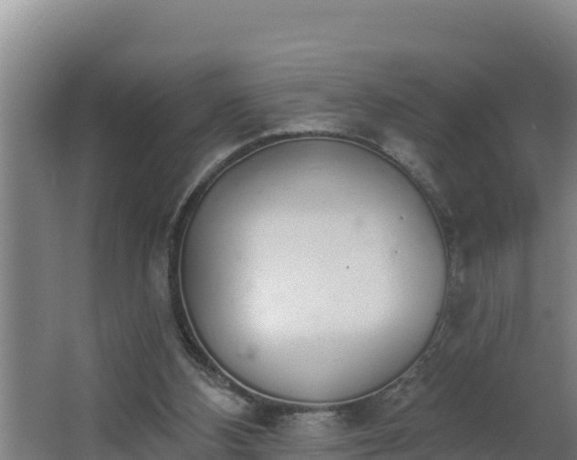 X0000064050108200602031634