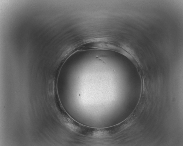 X0000064050109200602031634