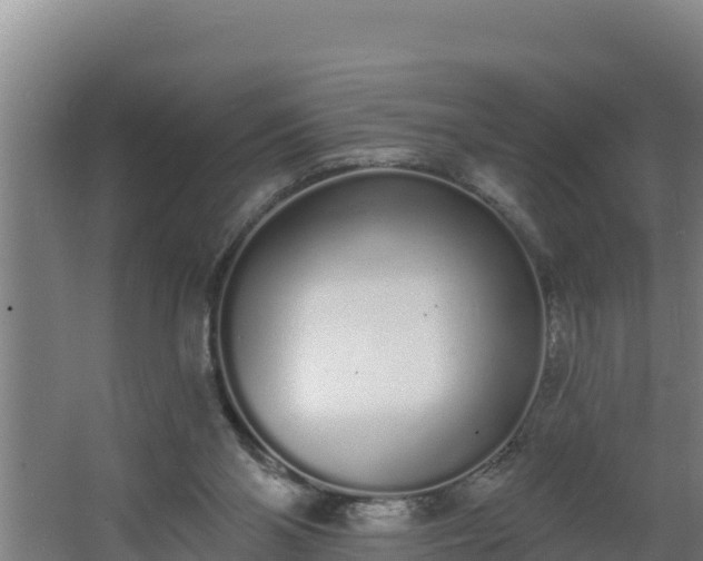 X0000064050110200602031634