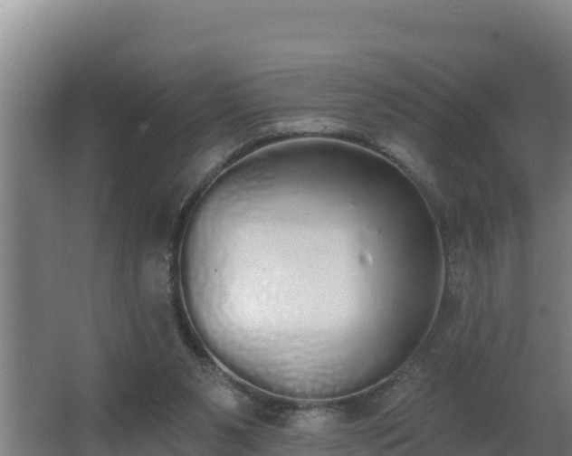 X0000064050111200602031634