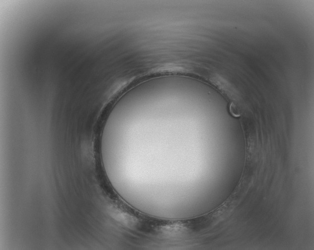 X0000064050112200602031633