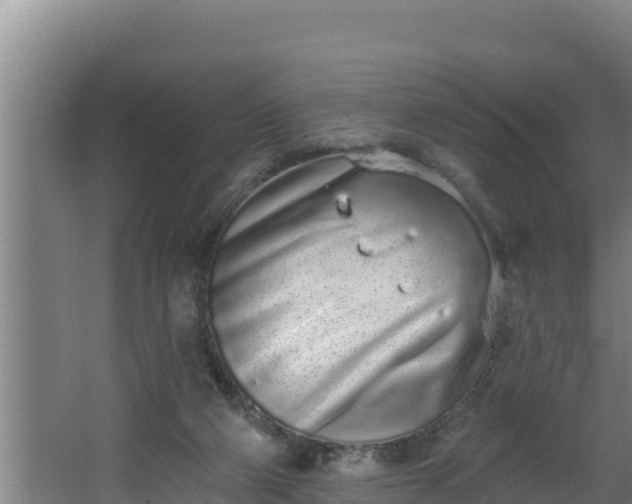 X0000064050114200602031633