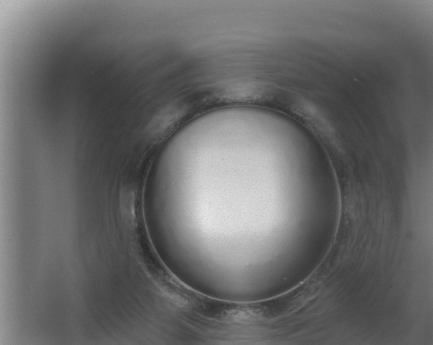 X0000064050115200602031633