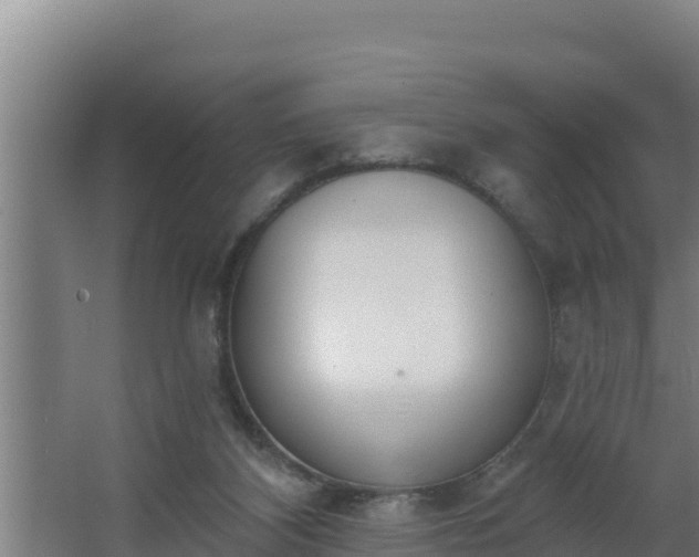 X0000064050116200602031633