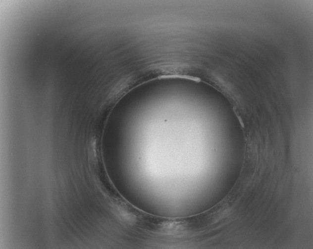 X0000064050117200602031633