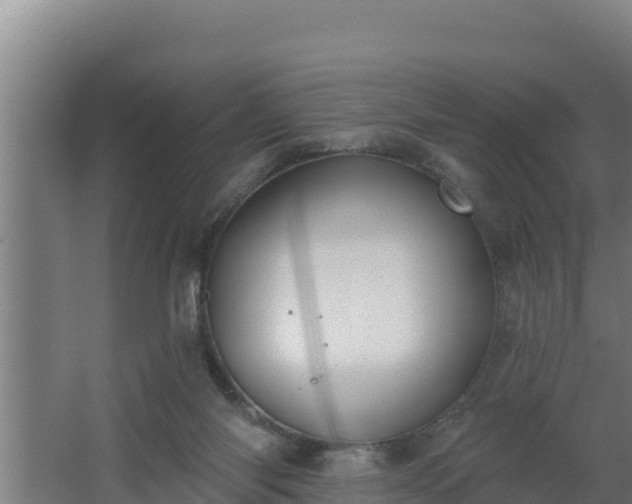 X0000064050118200602031633