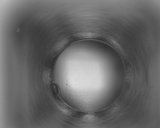 X0000064050119200602031633