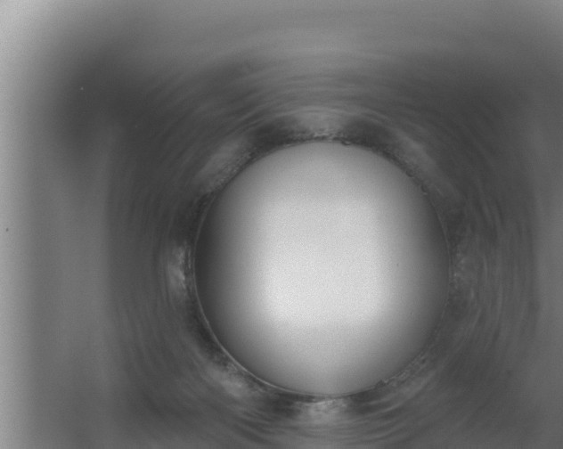 X0000064050122200602031633