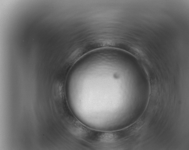 X0000064050123200602031633