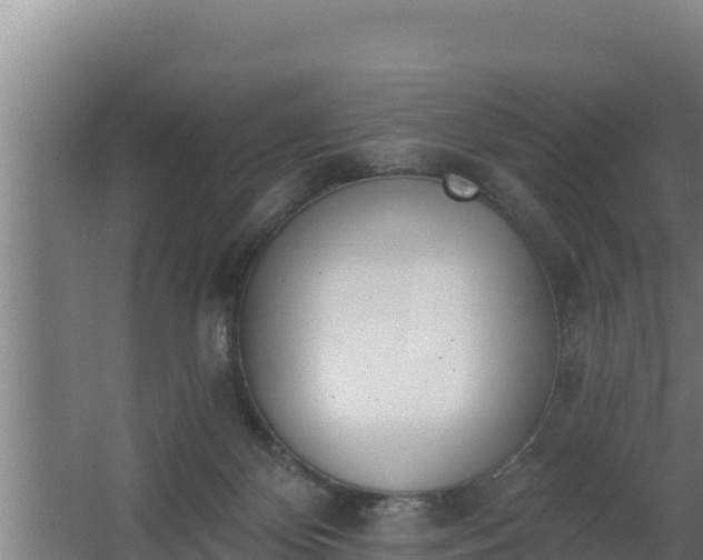 X0000064050124200602031633