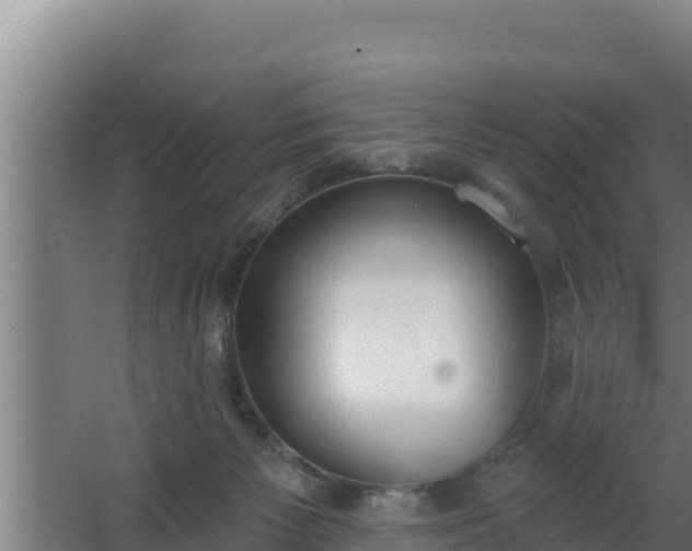 X0000064050125200602031633