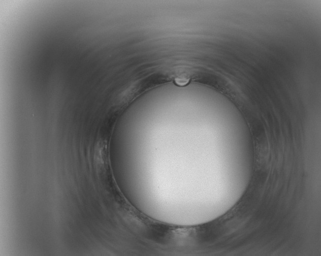 X0000064050126200602031633