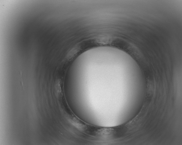 X0000064050128200602031633