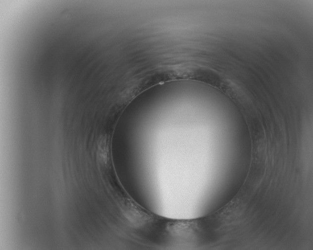 X0000064050129200602031633