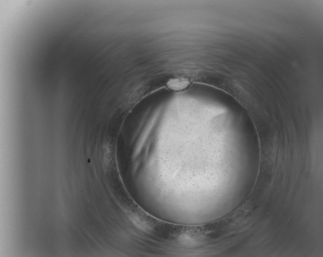 X0000064050130200602031633