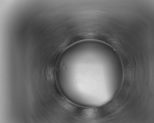 X0000064050131200602031633