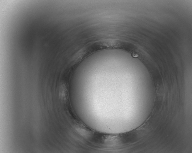 X0000064050132200602031633