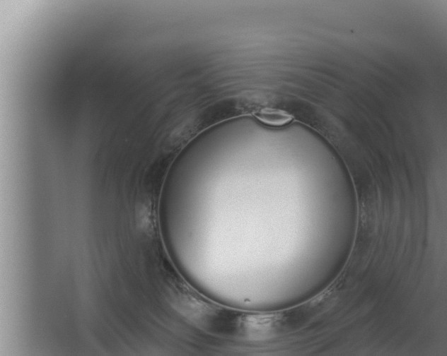 X0000064050134200602031633