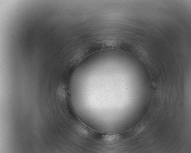 X0000064050135200602031633