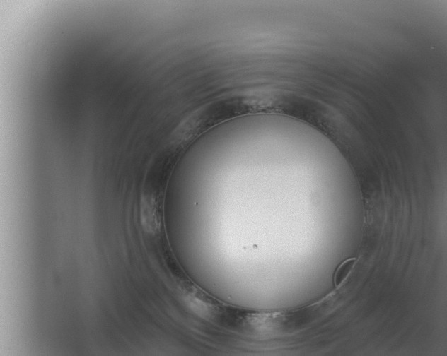 X0000064050136200602031633