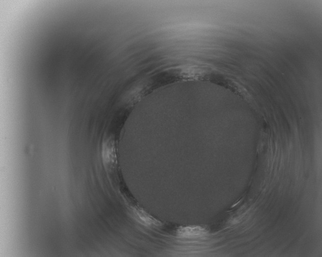 X0000064050137200602031633