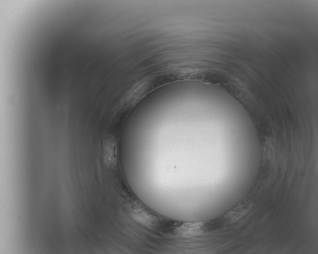 X0000064050138200602031633