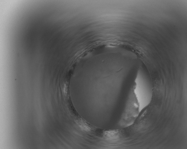 X0000064050139200602031633