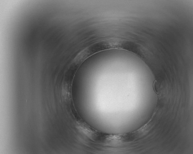 X0000064050140200602031633