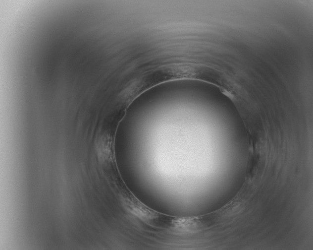 X0000064050141200602031633