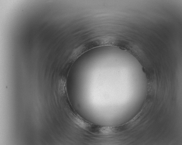 X0000064050142200602031633