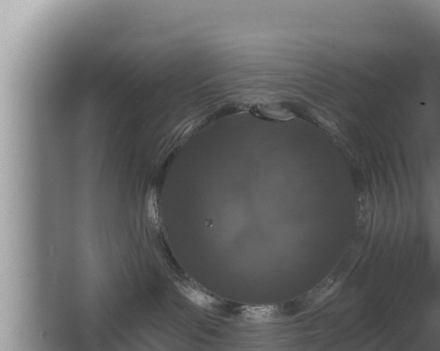 X0000064050143200602031633