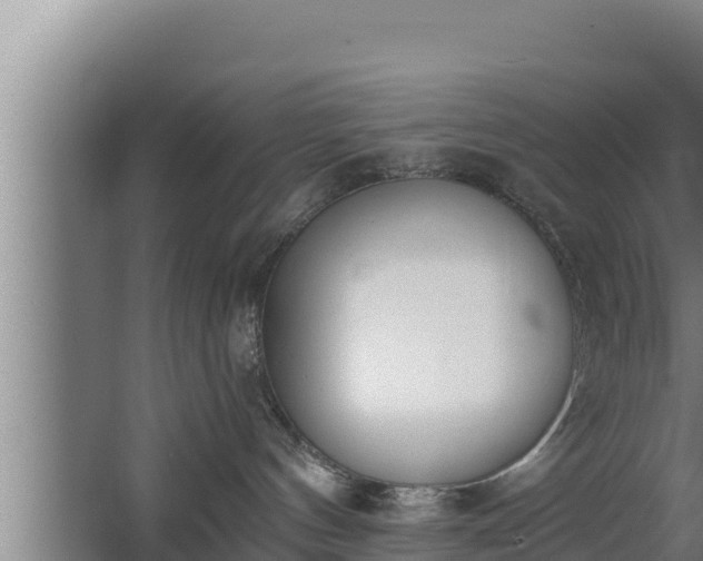 X0000064050144200602031633