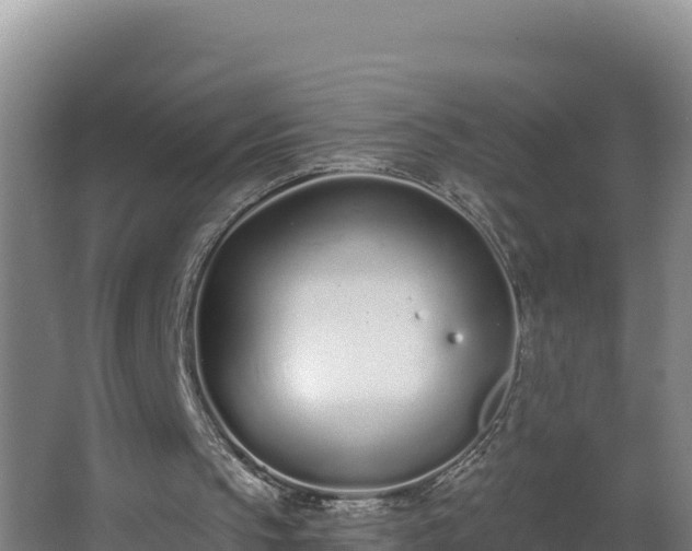 X0000064050145200602031632