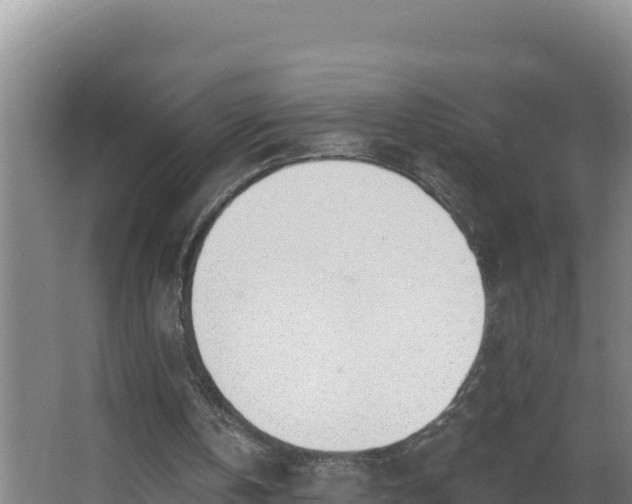 X0000064050146200602031632