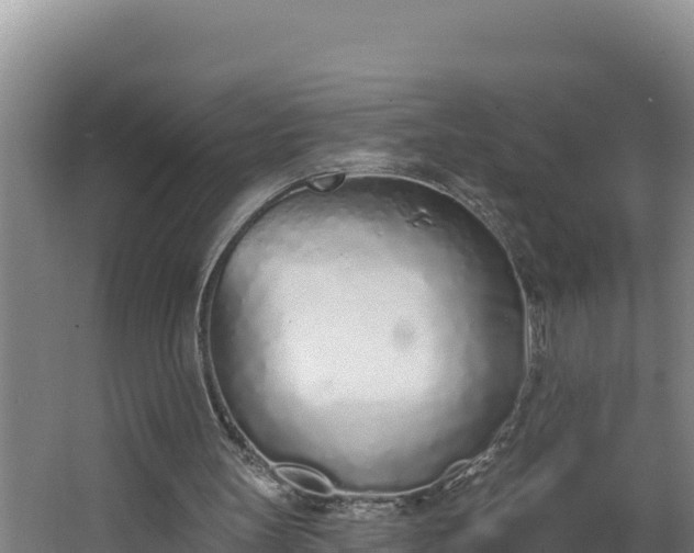 X0000064050147200602031632